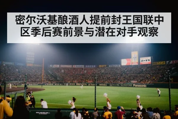 baseball stadium night | kaiyun app